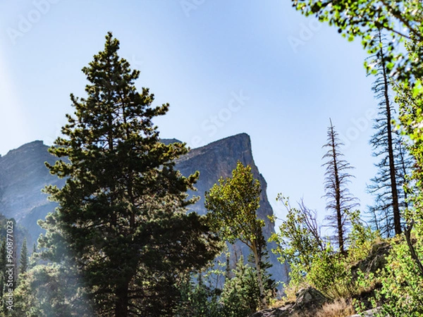 Obraz OLYMPUS DIGITAL CAMERA