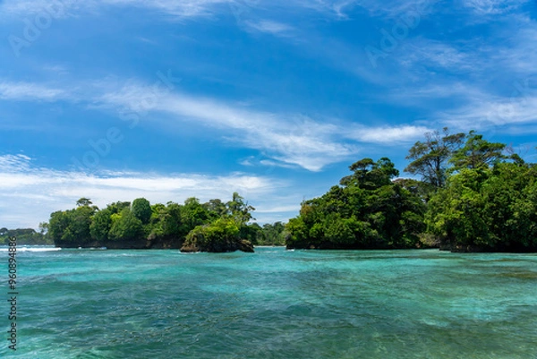 Fototapeta Clear Blue Water and Scenic Tropical Beach Surrounded by Palm Trees and Lush Nature - A Serene Island Paradise Offering Eco-Tourism and Adventure Travel in a Remote, Unspoiled Caribbean Destination