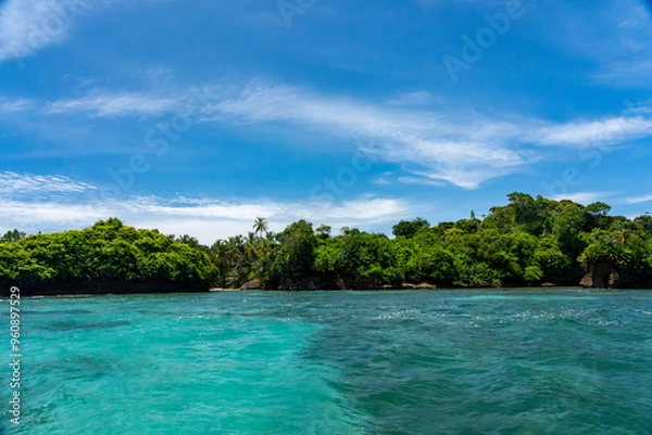 Fototapeta Clear Blue Water and Scenic Tropical Beach Surrounded by Palm Trees and Lush Nature - A Serene Island Paradise Offering Eco-Tourism and Adventure Travel in a Remote, Unspoiled Caribbean Destination