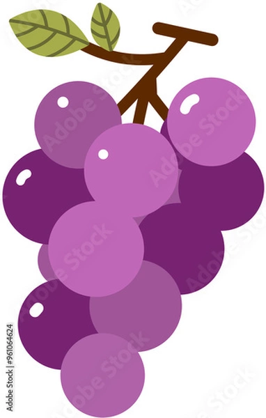 Obraz 포도