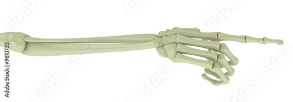 Obraz Skeleton Arm, Pointing