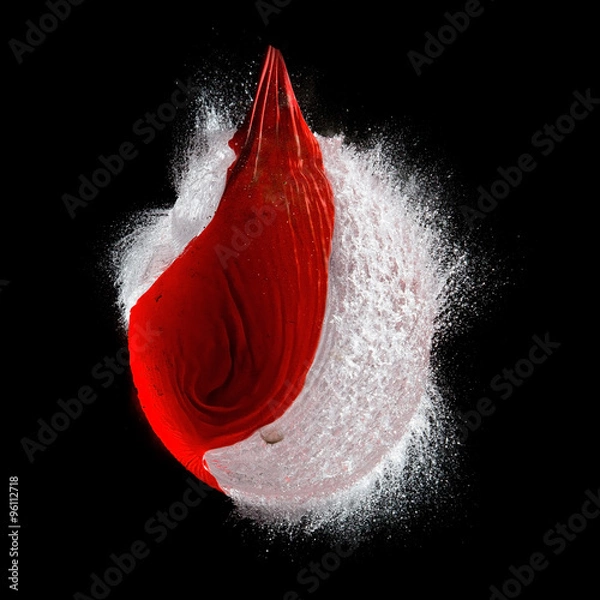 Obraz Water balloon burst