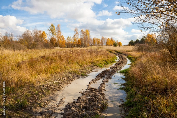Fototapeta Tracks filled with mud and puddles