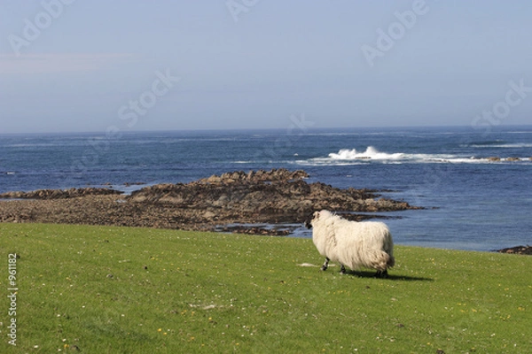 Fototapeta scottish costline