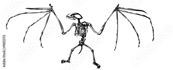 Obraz Grotesque Halloween Bat