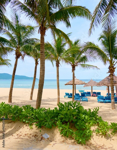 Obraz palm trees on the beach