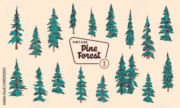 Obraz Pine Tree Vector Illustration Set - Hand-Drawn Vintage Mid-Century Style Designs.
