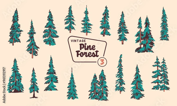 Obraz Pine Tree Vector Illustration Set - Hand-Drawn Vintage Mid-Century Style Designs.