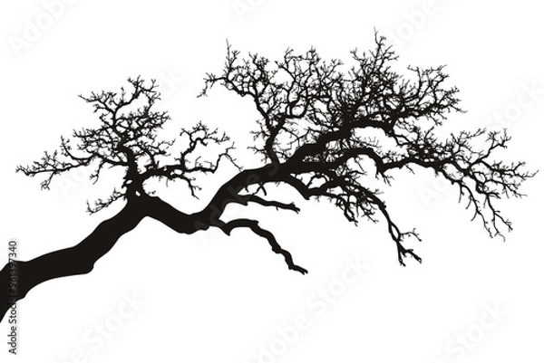 Fototapeta Tree branches silhouette isolated on white background. Vector illustration forest design and element landscape season. Autumn clip art and decoration abstract outdoor