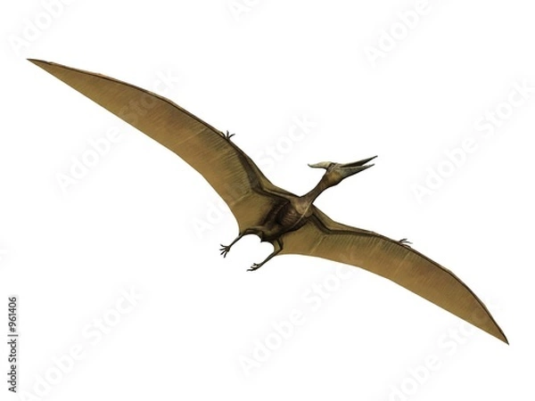 Fototapeta pterus the pterosaure