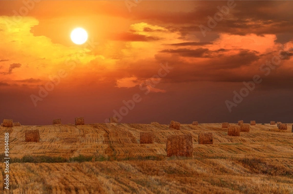 Obraz Знойный август 2015