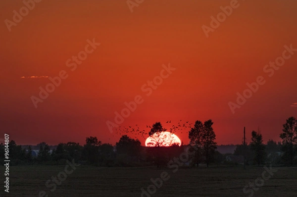 Obraz Догорающий август