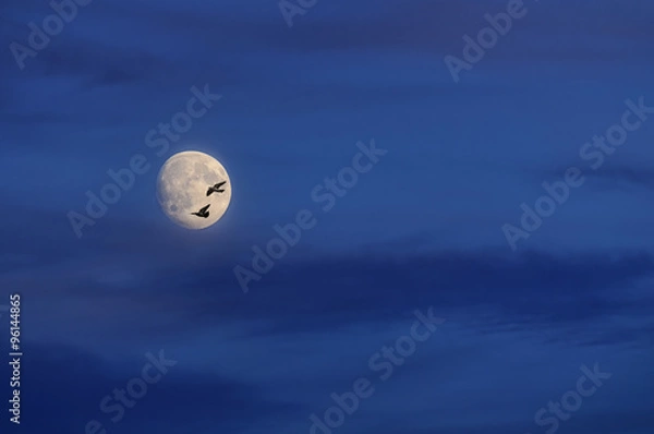 Obraz Два одиночества