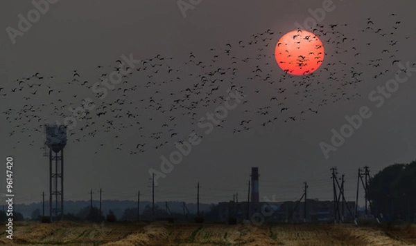 Obraz Кровавое солнце