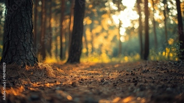 Obraz Golden Forest Pathway