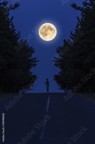 Obraz Одиночество под луной