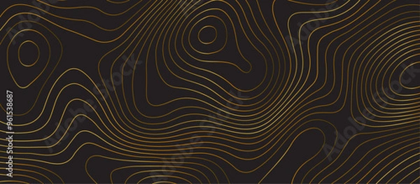 Fototapeta Black topology topography vector abstract design digital background seamless contour map texture territory geography desktop wallpaper and design for print work
