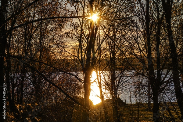 Obraz Лучи сквозь ветви продирались