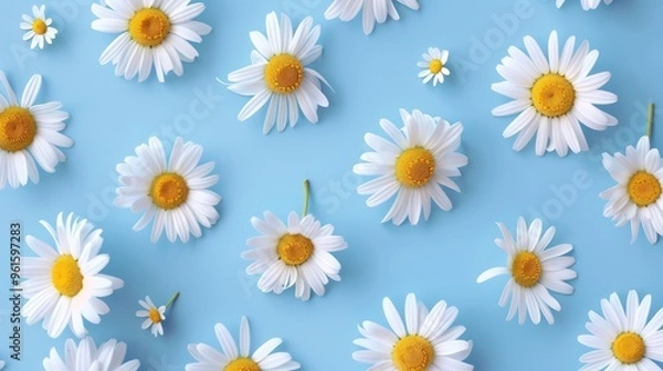 Fototapeta Repetitive daisy pattern with chamomile flowers on blue background, top view