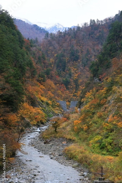 Fototapeta 黒部峡谷の紅葉