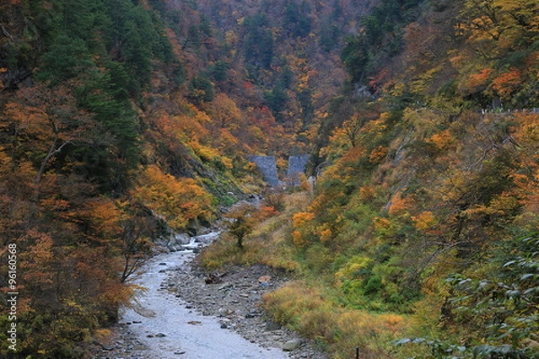 Fototapeta 黒部峡谷の紅葉