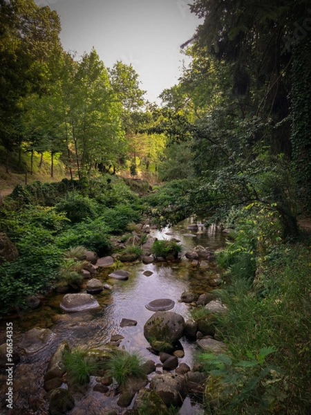 Fototapeta parque natural