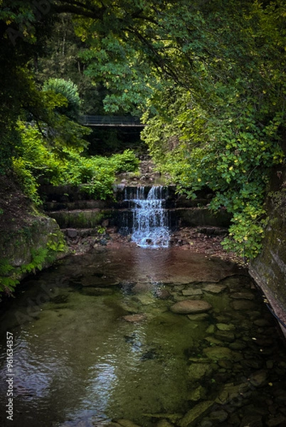 Fototapeta parque natural com cascata