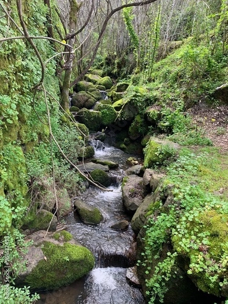 Fototapeta parque natural