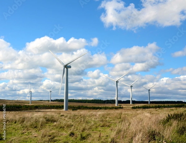 Fototapeta Wind turbines in a field