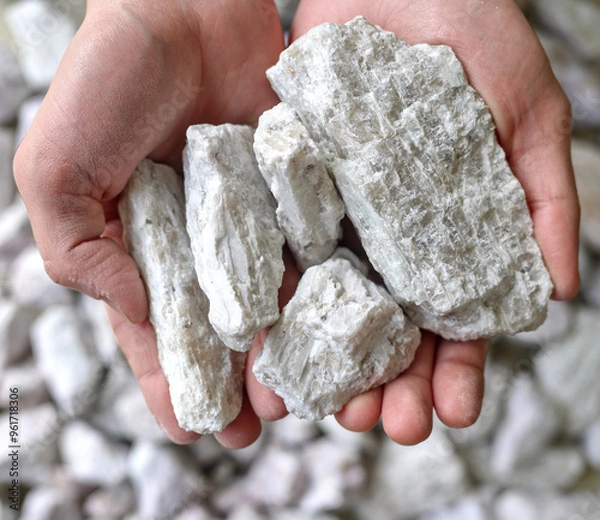 Fototapeta Hard rock spodumene ore, commercially important source of lithium. Mine, mining. Held in human hand. Copy space.
