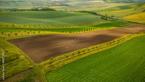 Fototapeta Rural drone aerial view landscape of farm fields and rolling hills in South Moravia, Czech Republic
