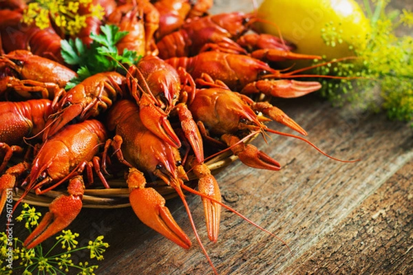 Obraz crawfish on wooden background