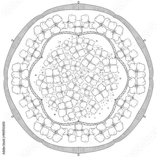 Obraz Hydrangea coloring page 