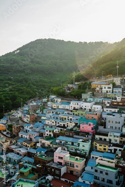 Fototapeta Colorful hillside homes of Busan basking in warm sunlight during a serene late afternoon