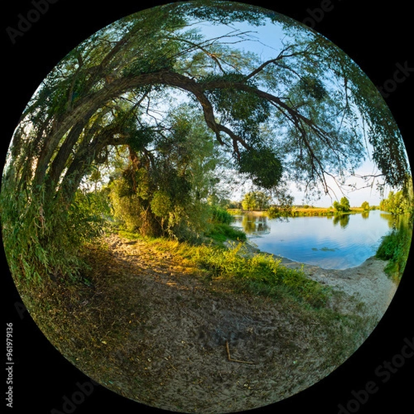 Obraz Fisheye view of river bank with tree. Landscape of non-urban area on summer sunny day. Photo taken through circular lens