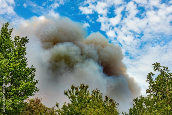 Obraz Heavy smoke rises into the sky from a forest fire. Natural disaster in rural areas on a summer day. Deciduous trees and sky with clouds