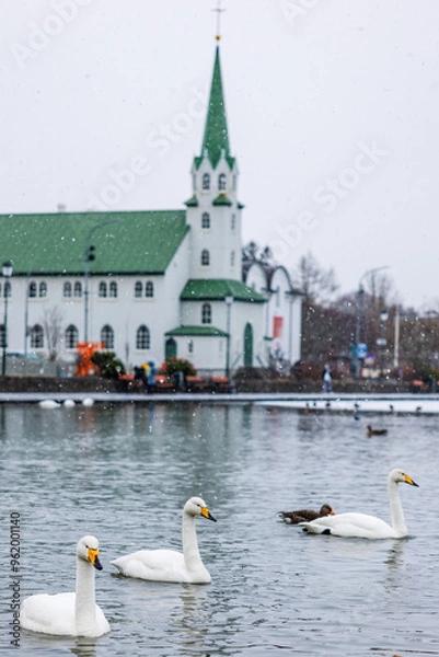 Fototapeta swans on a lake