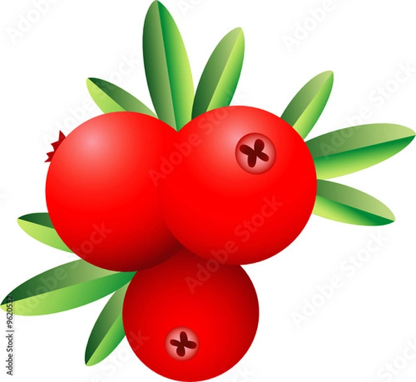 Obraz cranberry