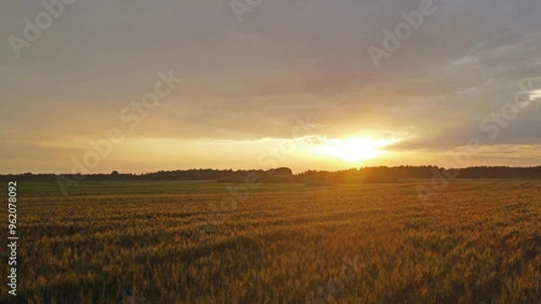 Fototapeta Sunset over the fields. Landscape in eastern Lithuania from the drone..