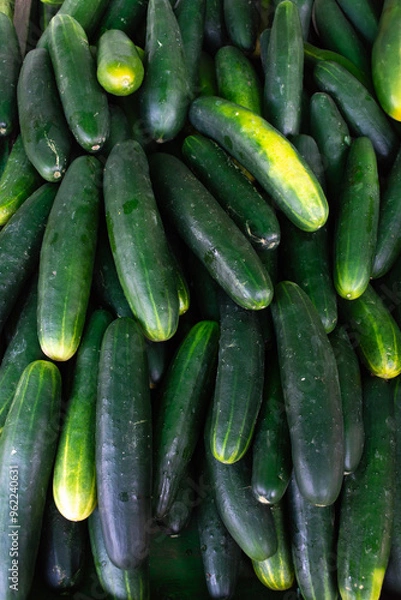 Obraz Pepinos a venda