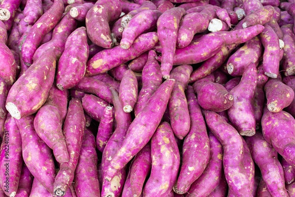 Obraz Batata doce na feira