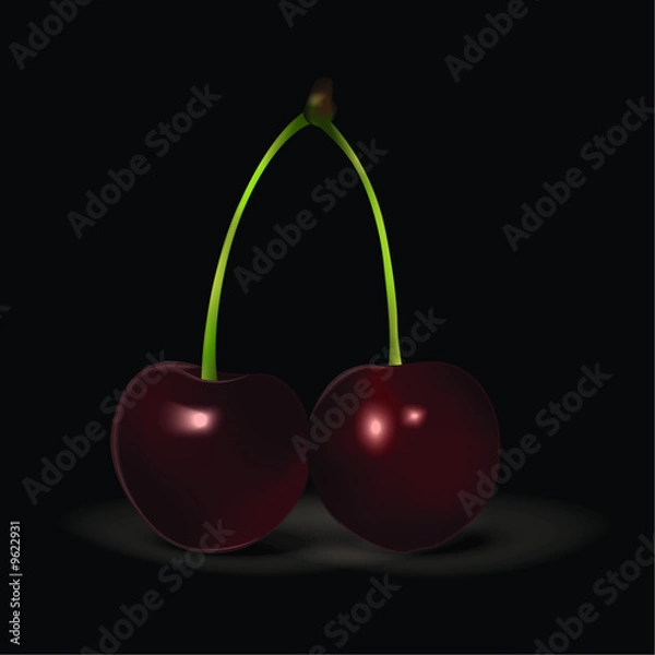 Obraz Cerises Kordia