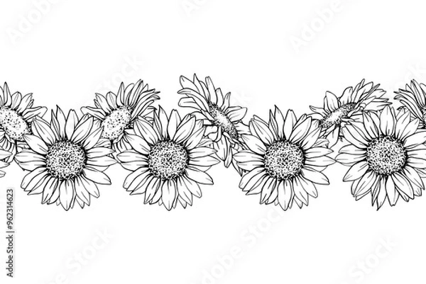 Obraz Sunflower seamless border. Hand draw Sketch pen and ink vintage vector illustration on white background. Botanical graphic engraving design