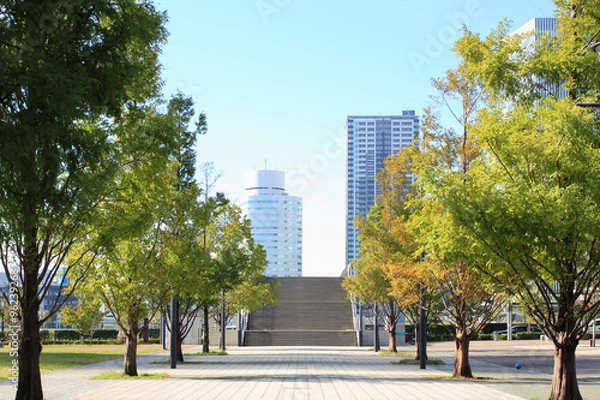 Fototapeta みなとみらいの公園風景