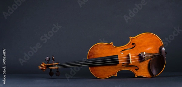 Fototapeta violin on black background