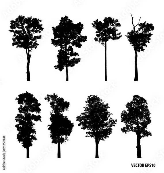 Fototapeta Set of tree silhouettes. Vector illustration.