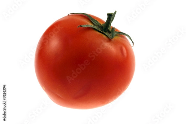 Fototapeta An isolated tomato on a white background