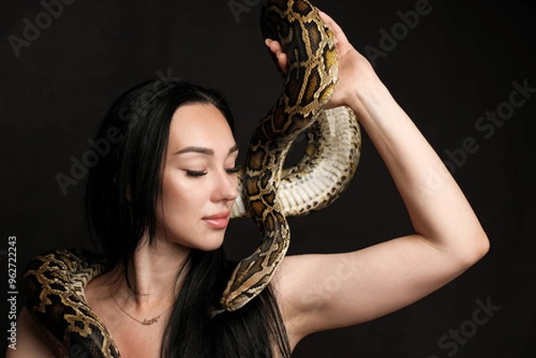 Fototapeta Portrait of a beautiful woman with dark hair on a dark background with a python near her face. Copy space. Close-up