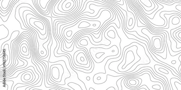 Fototapeta White topography topology vector white background fresh contour map texture backdrop digital print texture terrain lines and strokes on a fresh white 