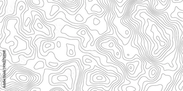 Fototapeta White topography topology vector white background fresh contour map texture backdrop digital print texture terrain lines and strokes on a fresh white 